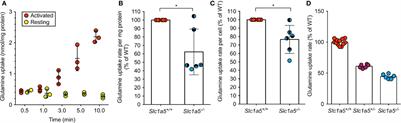 ASCT2 (SLC1A5)-Deficient Mice Have Normal B-Cell Development, Proliferation, and Antibody Production